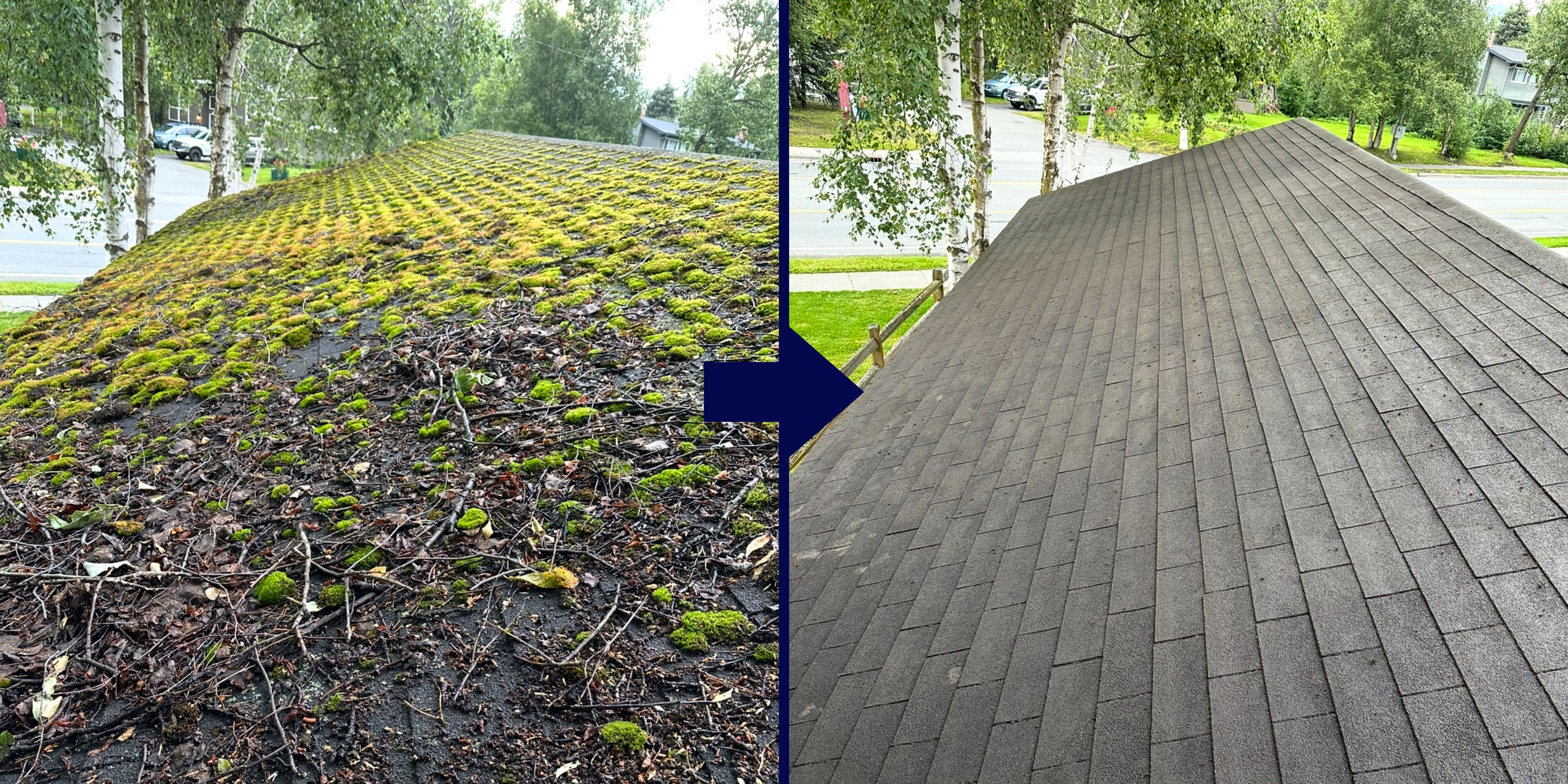 before and after Alaska moss removal