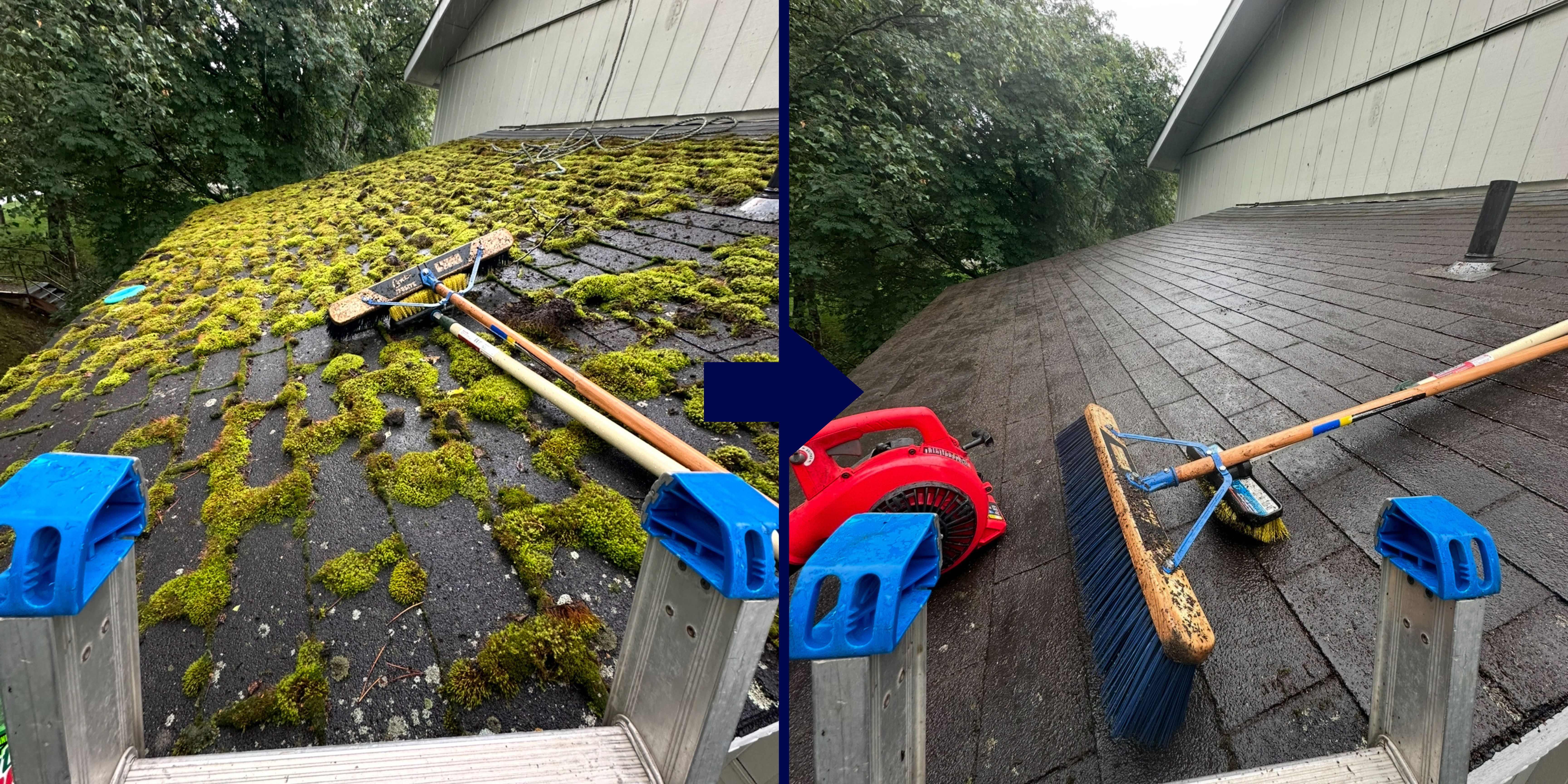 Before and after Alaska moss removal